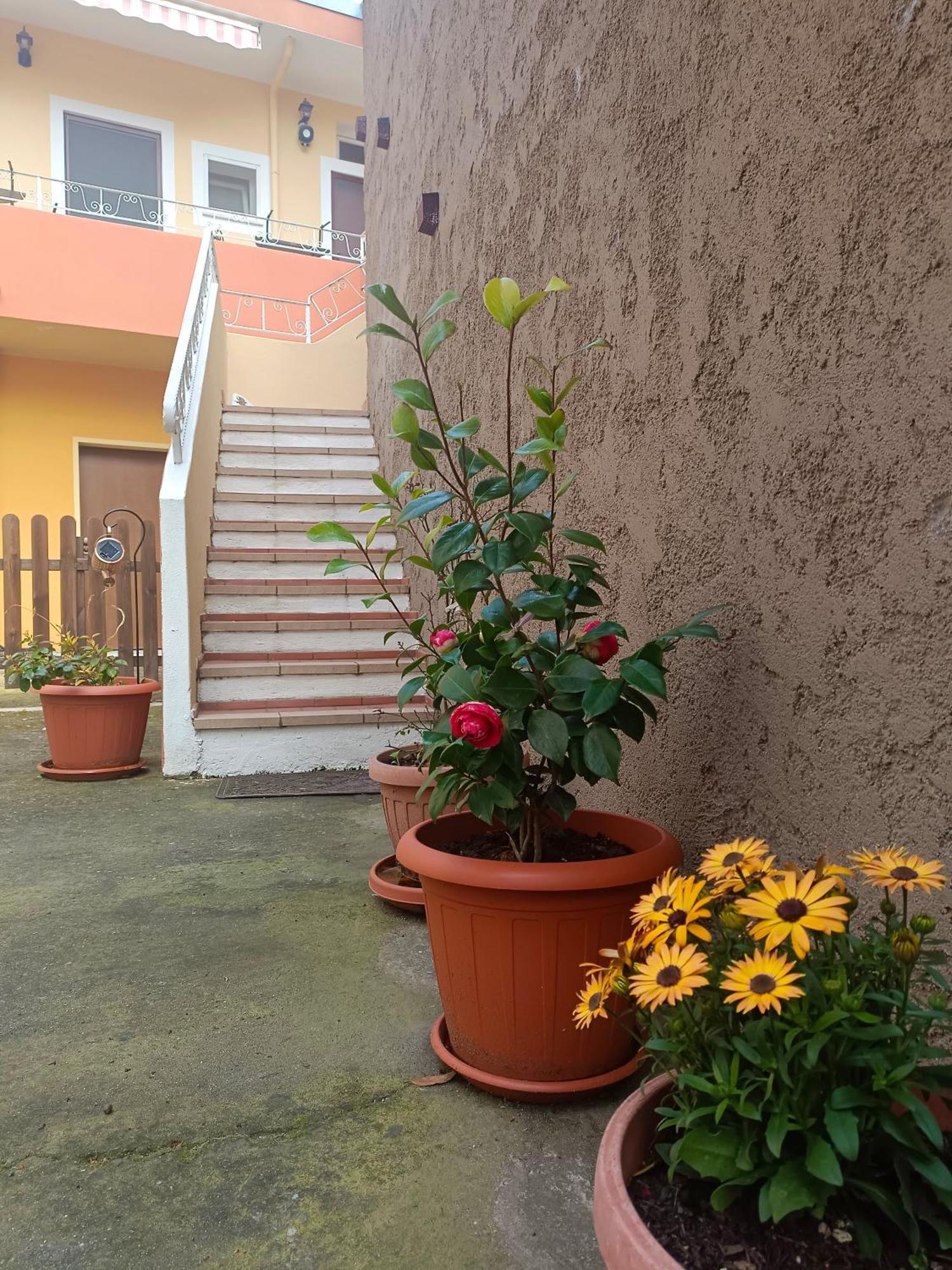 Casa Zenobio Lägenhet Pabillonis Exteriör bild